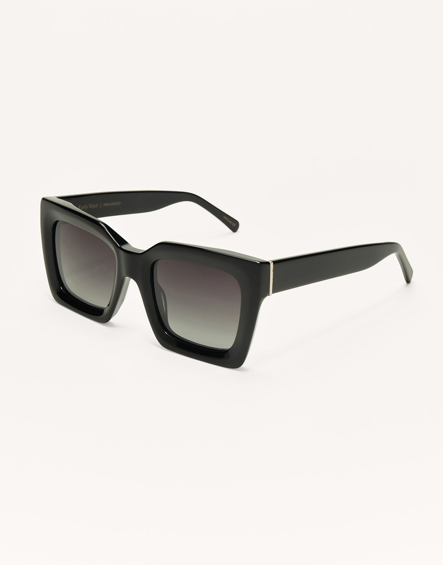 Early Riser Sunglasses by Z Supply in Polished Black - Angled View